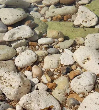 Logis De La La Cotinière