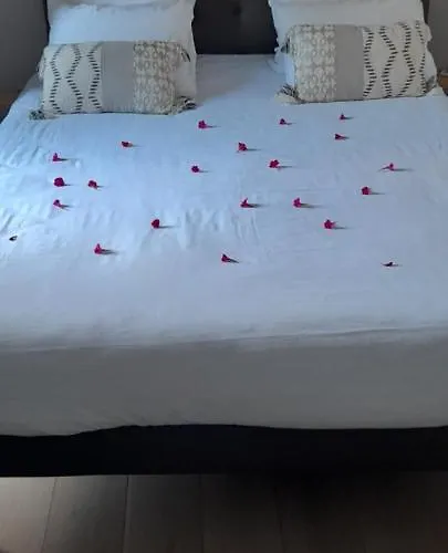 海滨公寓酒店 酒店 拉康提内勒