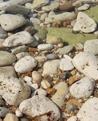 海滨公寓酒店 拉康提内勒